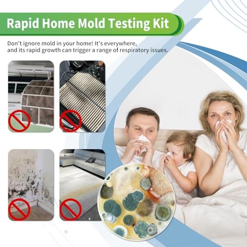 Mold Test Kit for Home with Free Lab Analysis, 5 Tests