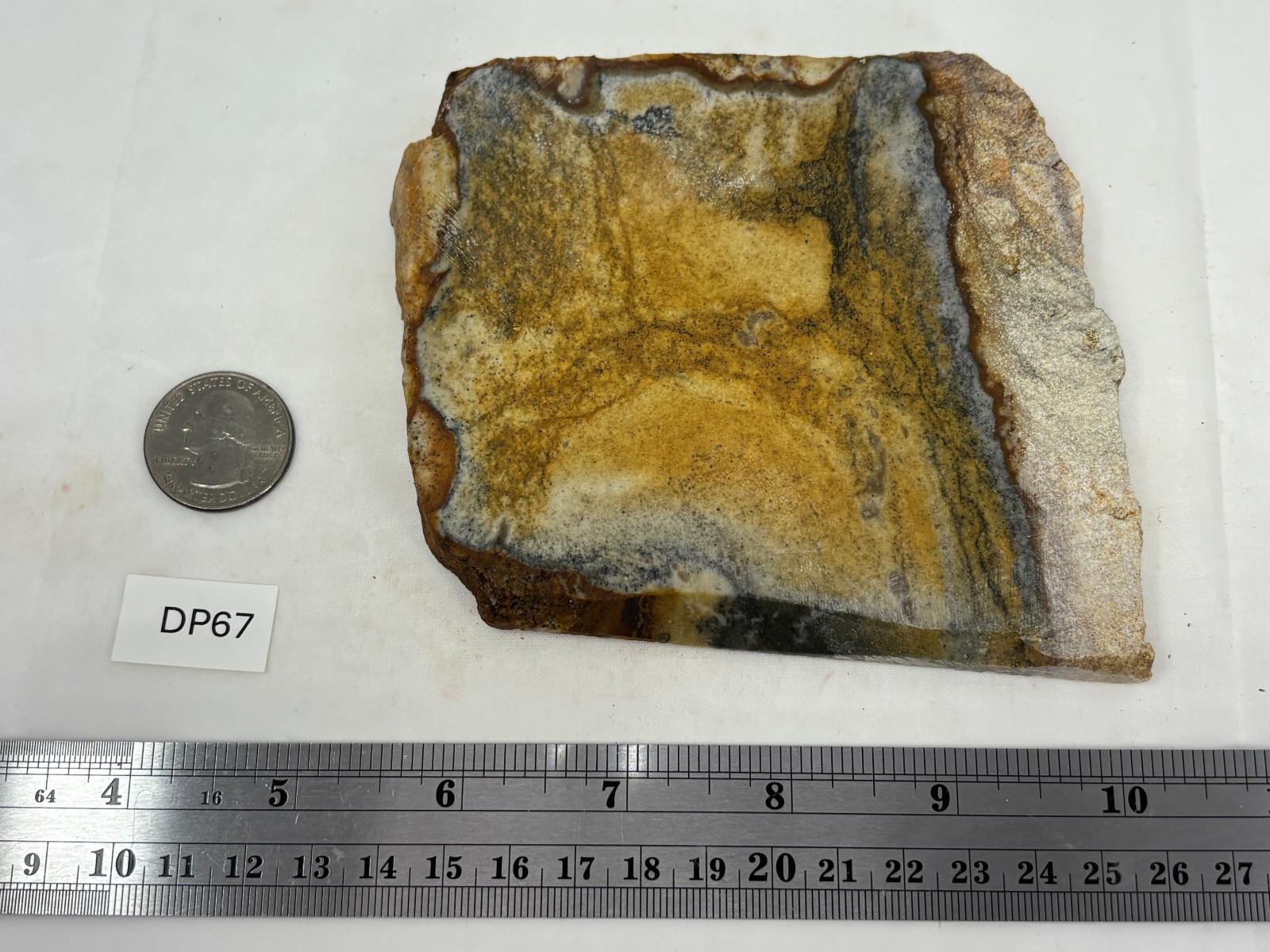 Disaster Peak Picture Jasper Slab Cabbing Lapidary Collecting Combo Ship Avail