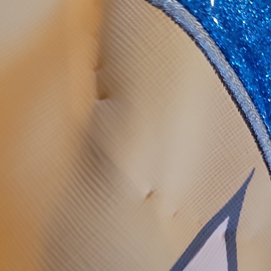 Cinderella Tote Bag Fab NY Disney Princess