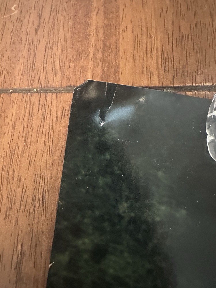 Ani Difranco “Dilate” Poster 25”x20” Bjork