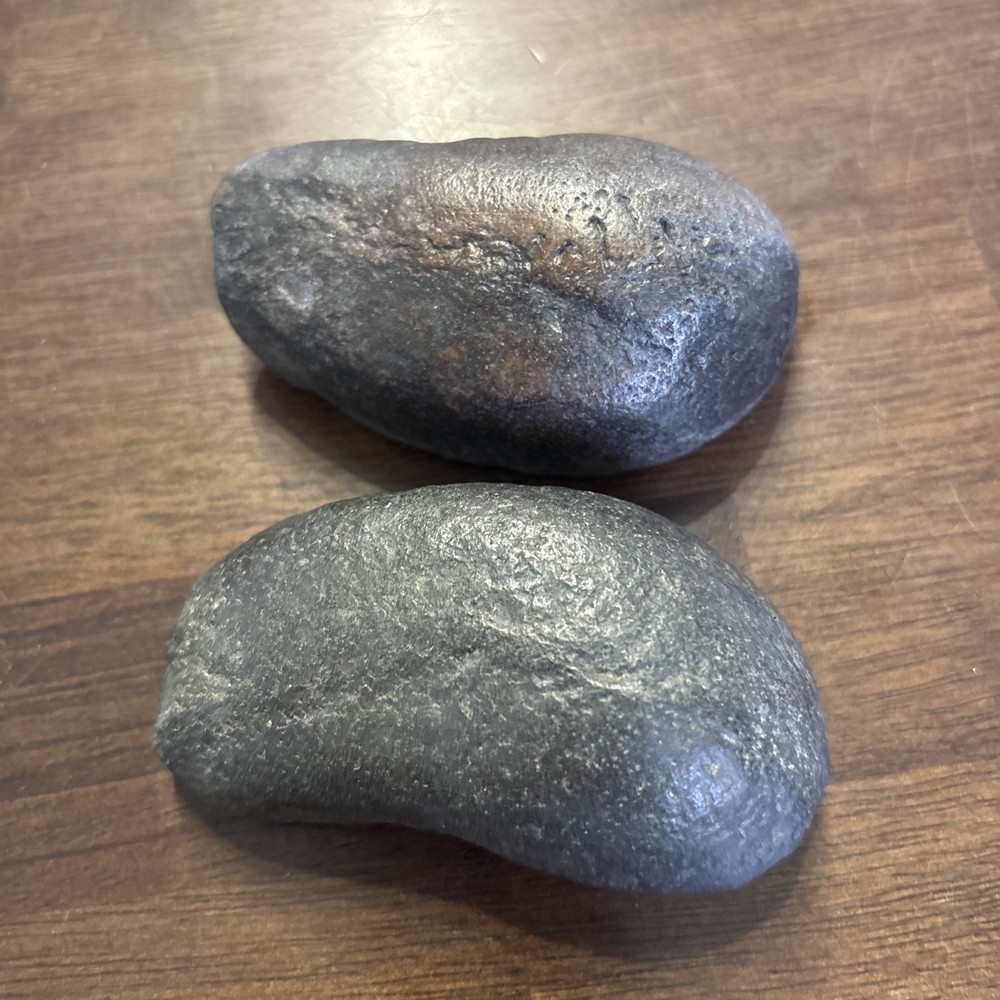 (2) 3.5 Inch Fossilized Whale Ear Bones