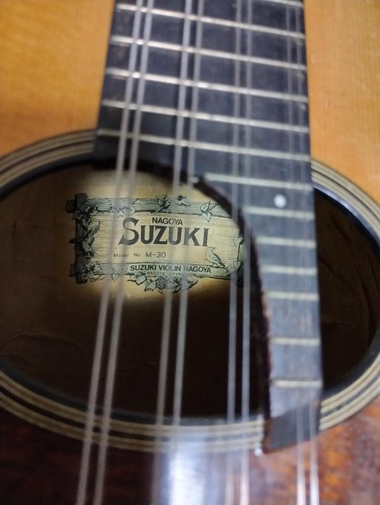 Suzuki Mandolin M-30