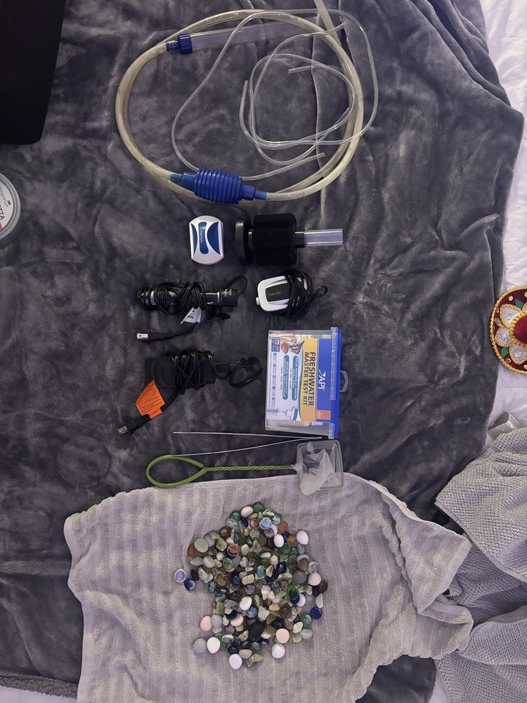 5 Gallon Fish Tank with Accessories
