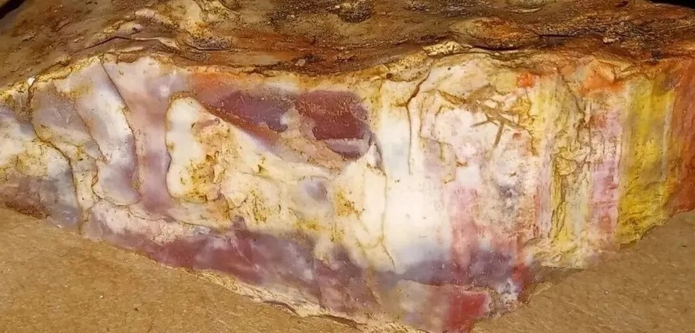 Arizona Petrified Wood 3lbs