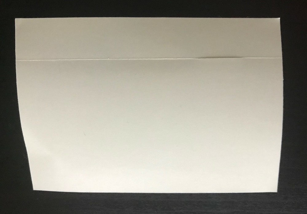 DFD - DOG FASHION DISCO - STICKER OFFICIAL DECAL ADULTERY PROMO STICKER