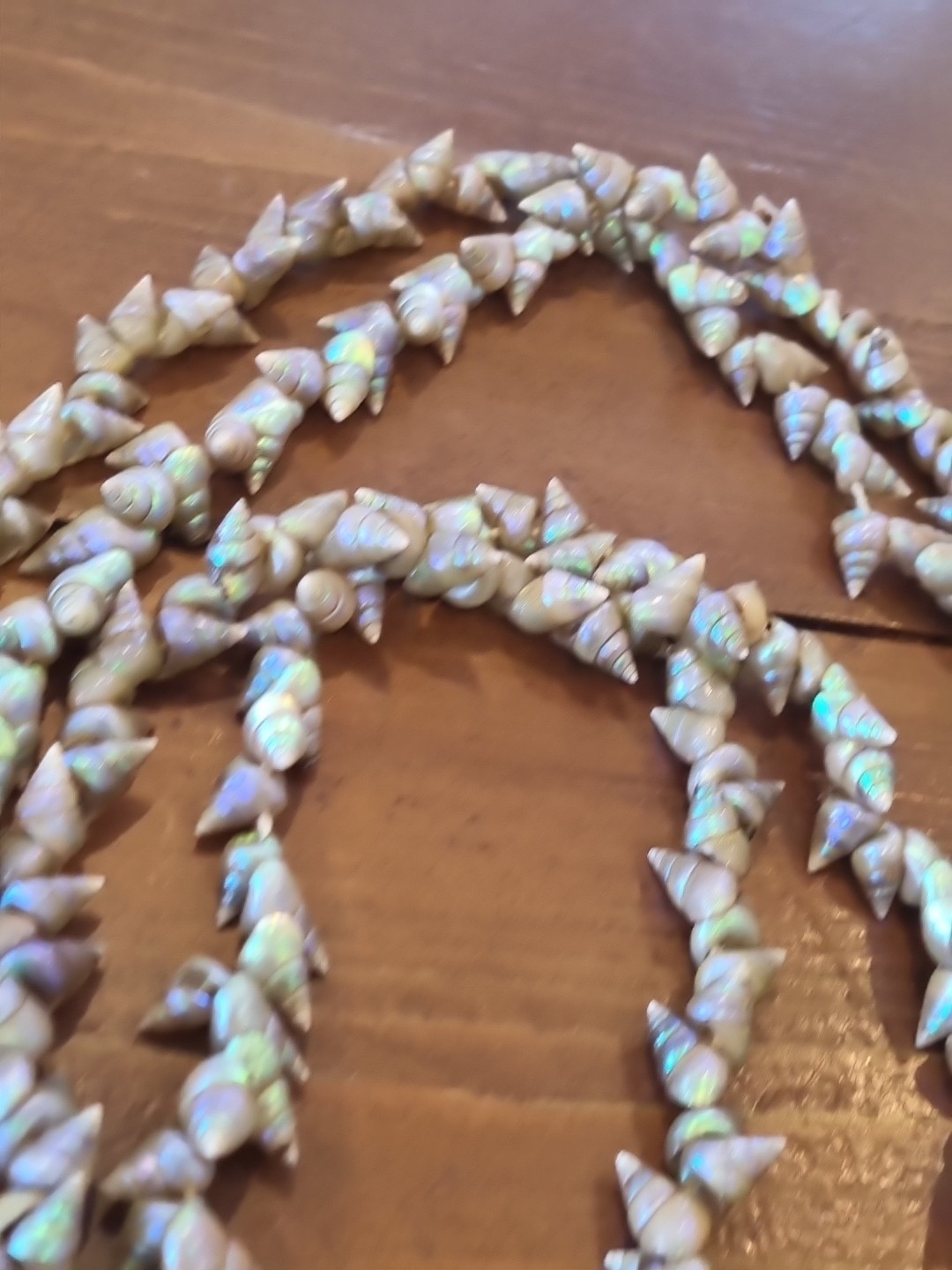 SUPERB VINTAGE TASMANIAN ABORIGINAL MAIREENER SHELL NECKLACE LONG 123cms 1930s