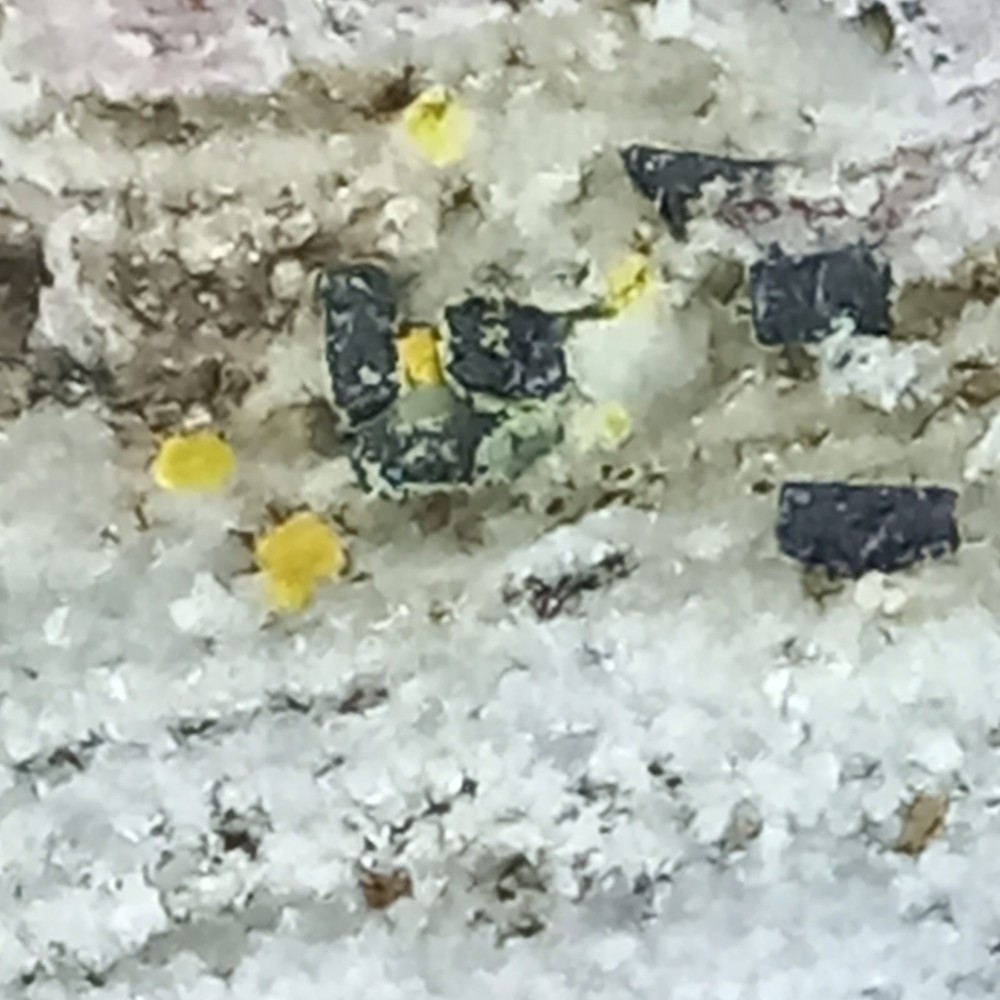 Osumilite, Tridimite