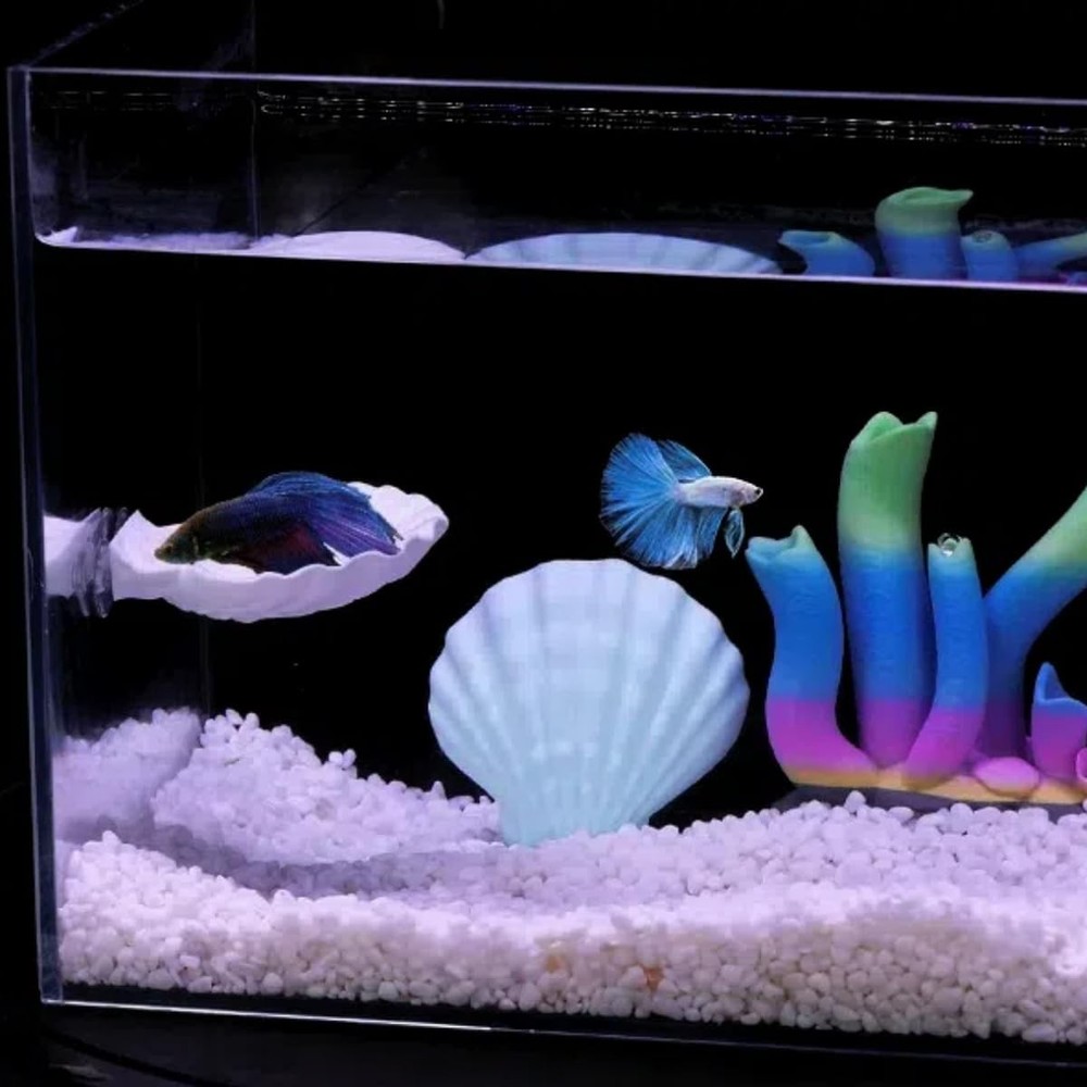 Betta Fish Hammock, Shell Pad with Strong Suction Cup Natural Resting Bed for...