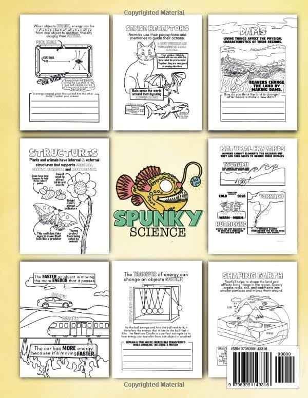 4th Grade Science Doodles: NGSS Edition