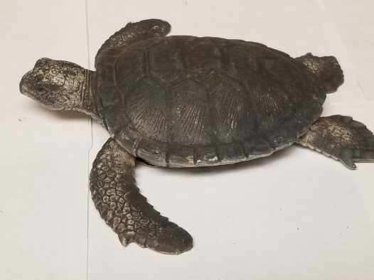 Hard Rubber Sea Turtle