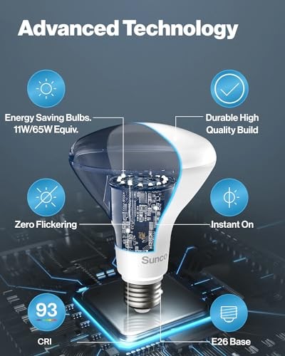 Sunco 6 Pack BR30 Light Bulbs LED, Recessed 6 Count (Pack of 1) White - 4000k