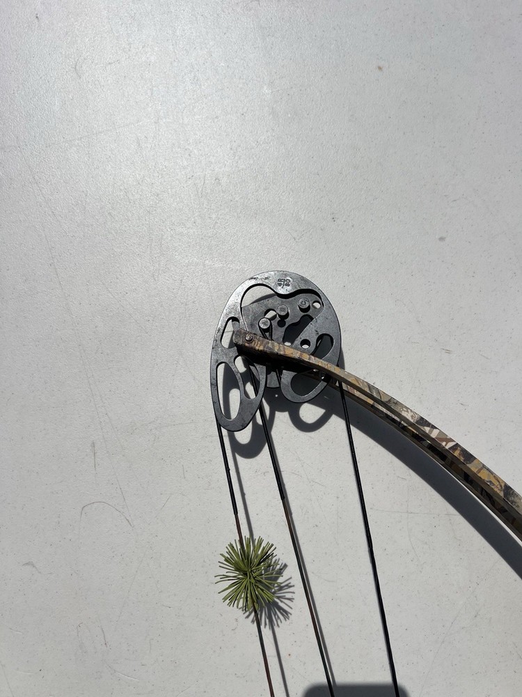 vintage compound bow “browing”