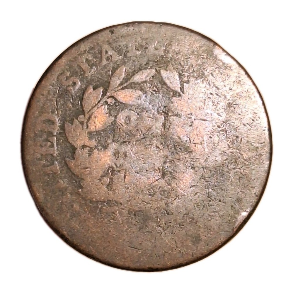 1802? Draped Bust Large Cent Worn Date/Details Low-grade Stems Reverse Early US