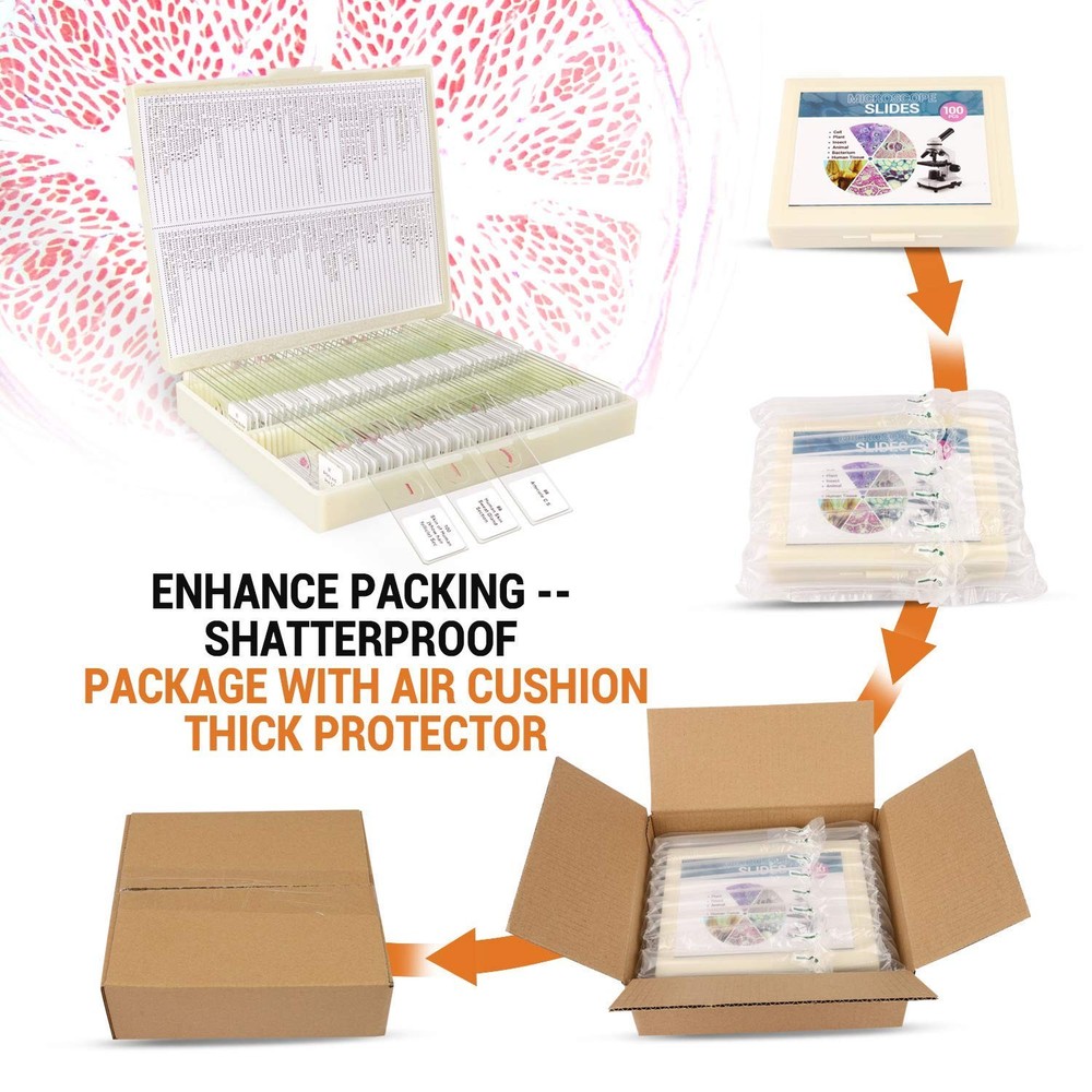 100Pcs Prepared Microscope Slides Set Professional Specimens for Kids Student...