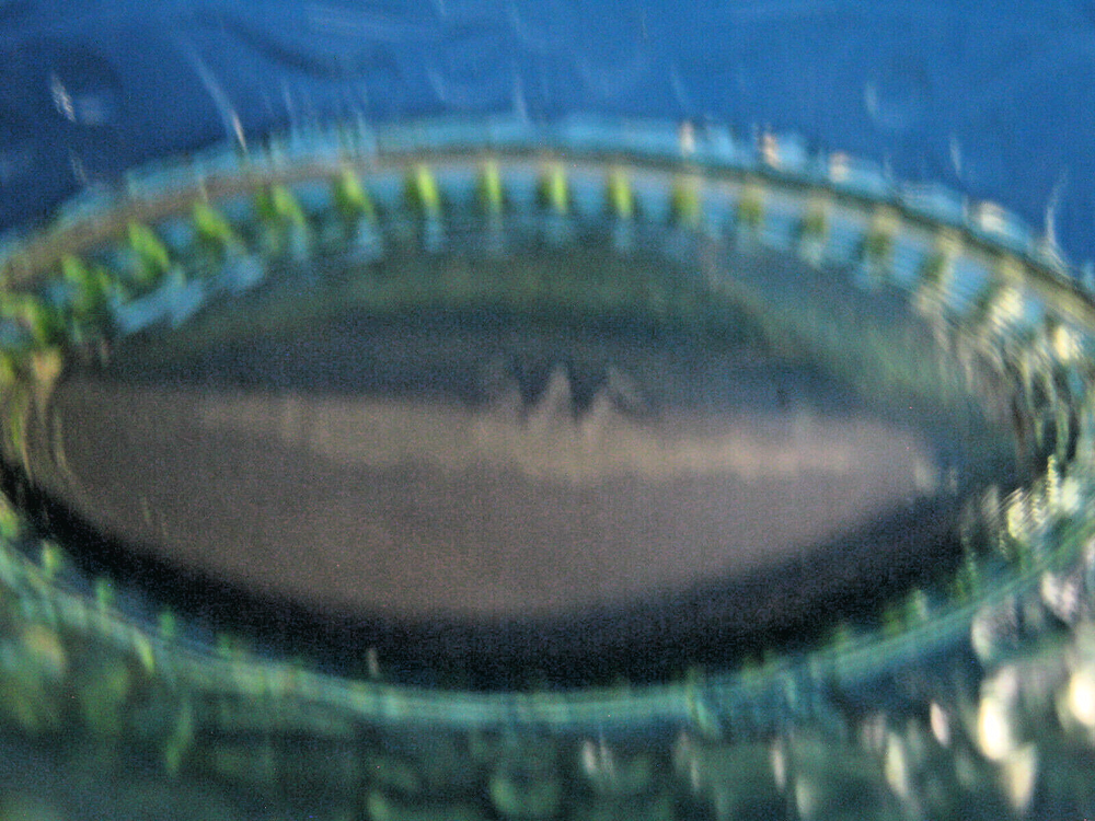 L G WRIGHT LIGHT GREEN BOAT SHAPED WILDFLOWER PATTERN GLASS OPEN SALT CELLAR