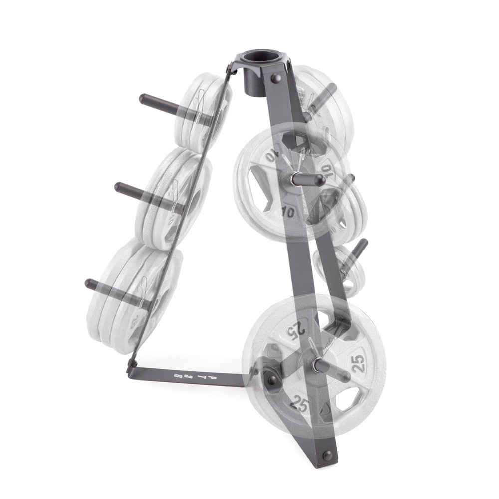Plate Tree for Standard Size Weight Plates/Storage Rack for Exercise Weights ...
