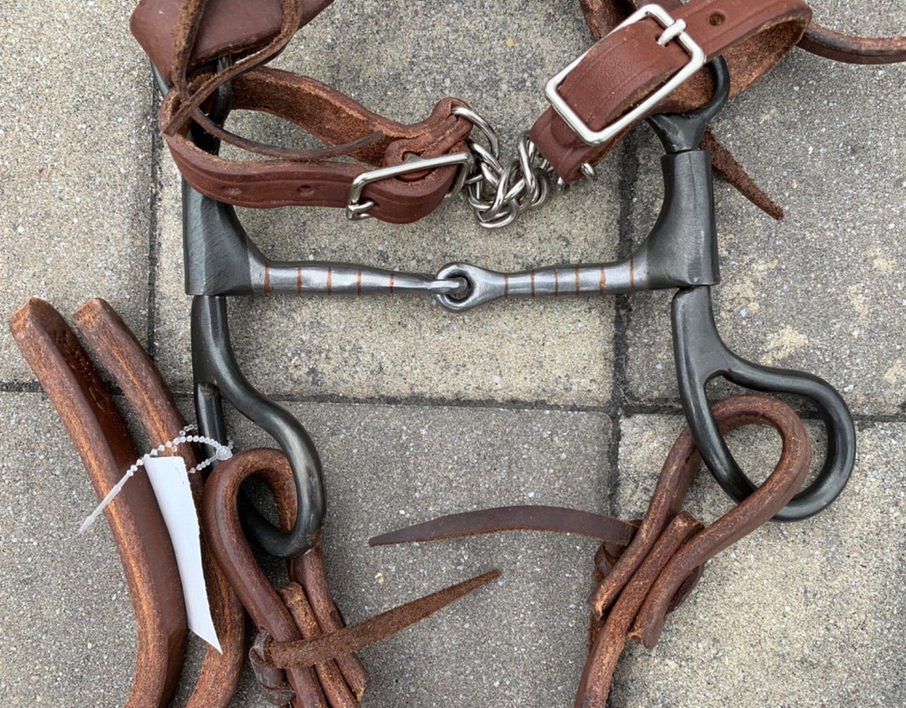 Dutton Smooth Tear Drop BIT & COMPLETE BRIDLE SET Headstall, Reins, & Curb Strap