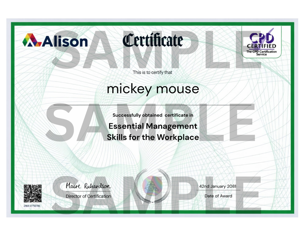 NOVELTY ALISON.COM CLASS CERTIFICATES