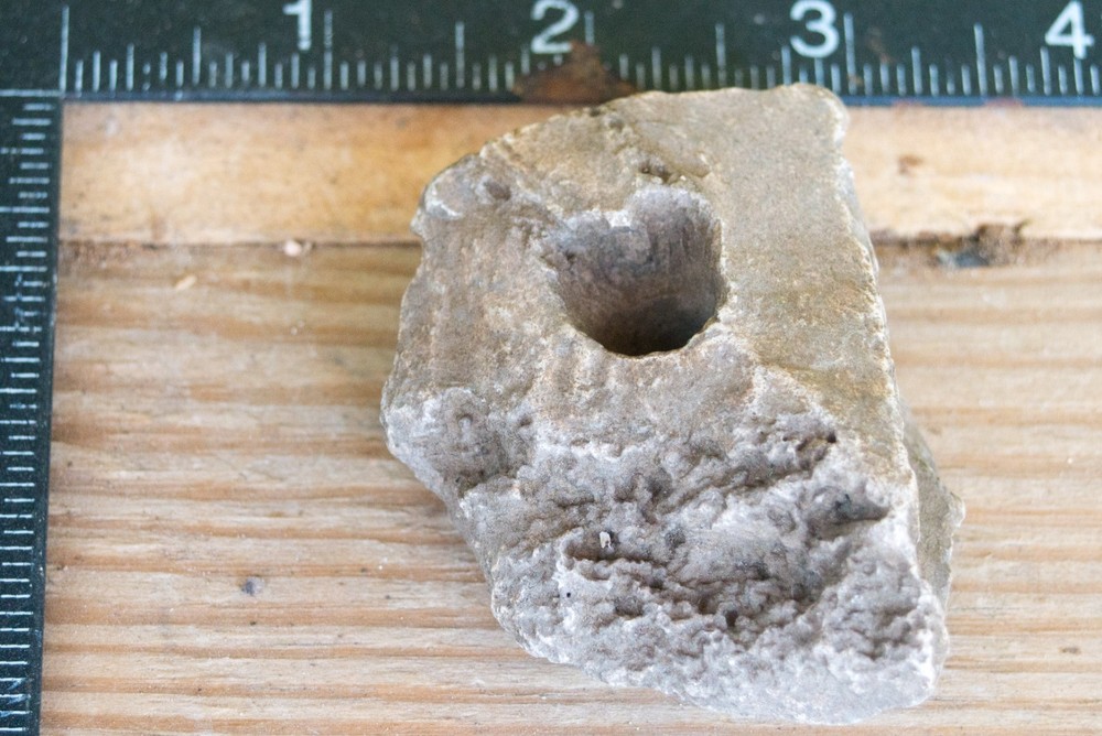 NE Oklahoma Fossil