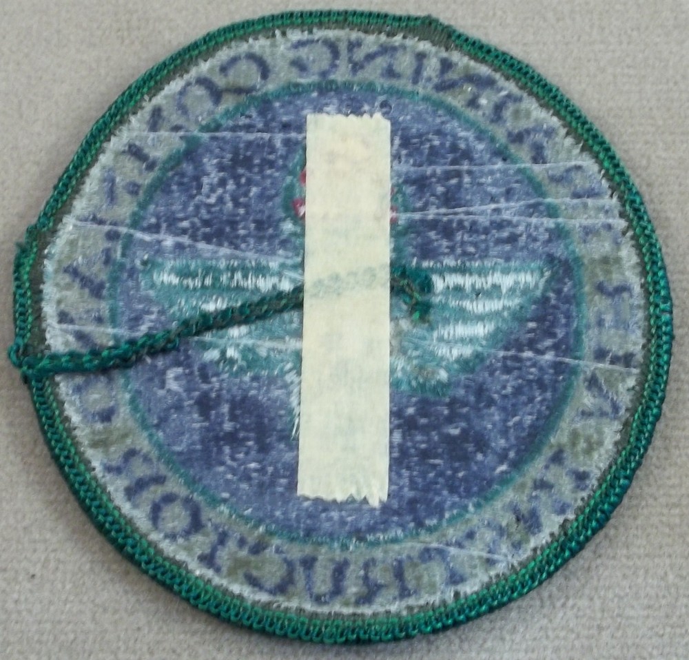 US Air Force Air Training Command Instructor Subdued Merrowed Edge Patch
