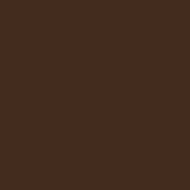 CustomSet Brazil Nut C  Procion Reactive MX Dye Item 816