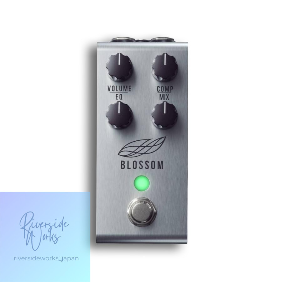 Jackson Audio BLOSSOM Compressor Guitar Effect Pedal