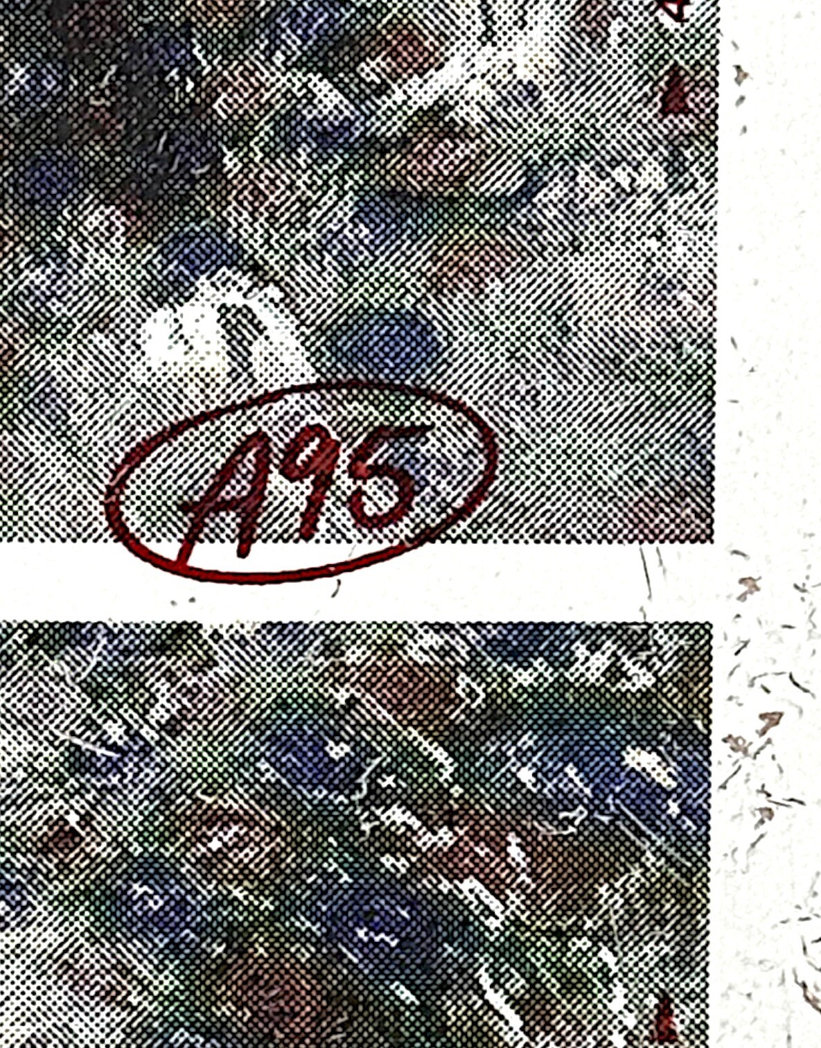 Photo Axis 37” ARBOR 2021 Performance Longboard Deck - 8.5" Photo Collection