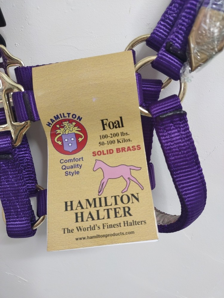Adjustable Hamilton Halter FOAL 100-200lbs solid brass Hardware