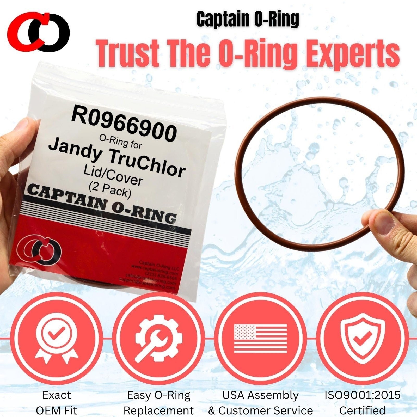 R0966900 O-Ring for Jandy TruChlor R0966800 Cover Lid (2 Pack)