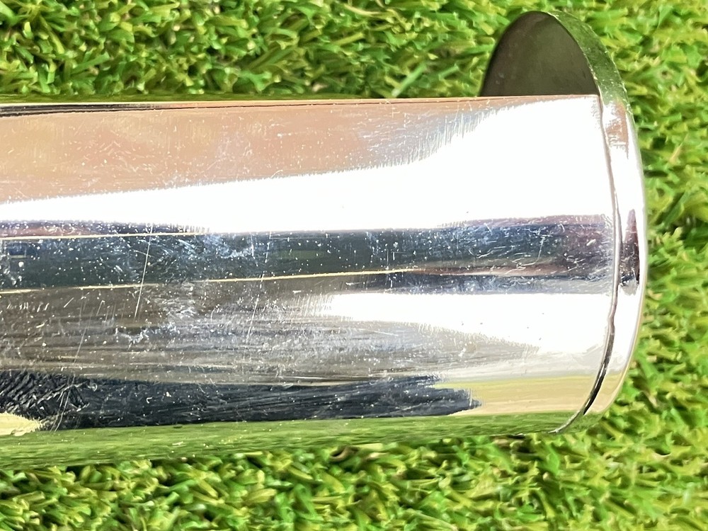 Chrome Adjustable Picture Light