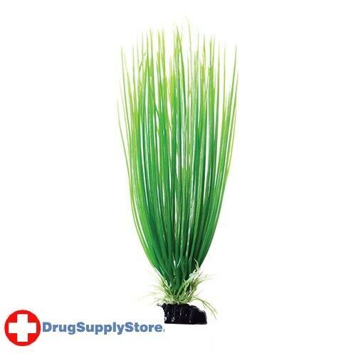 RA Green Hairgrass - 12"