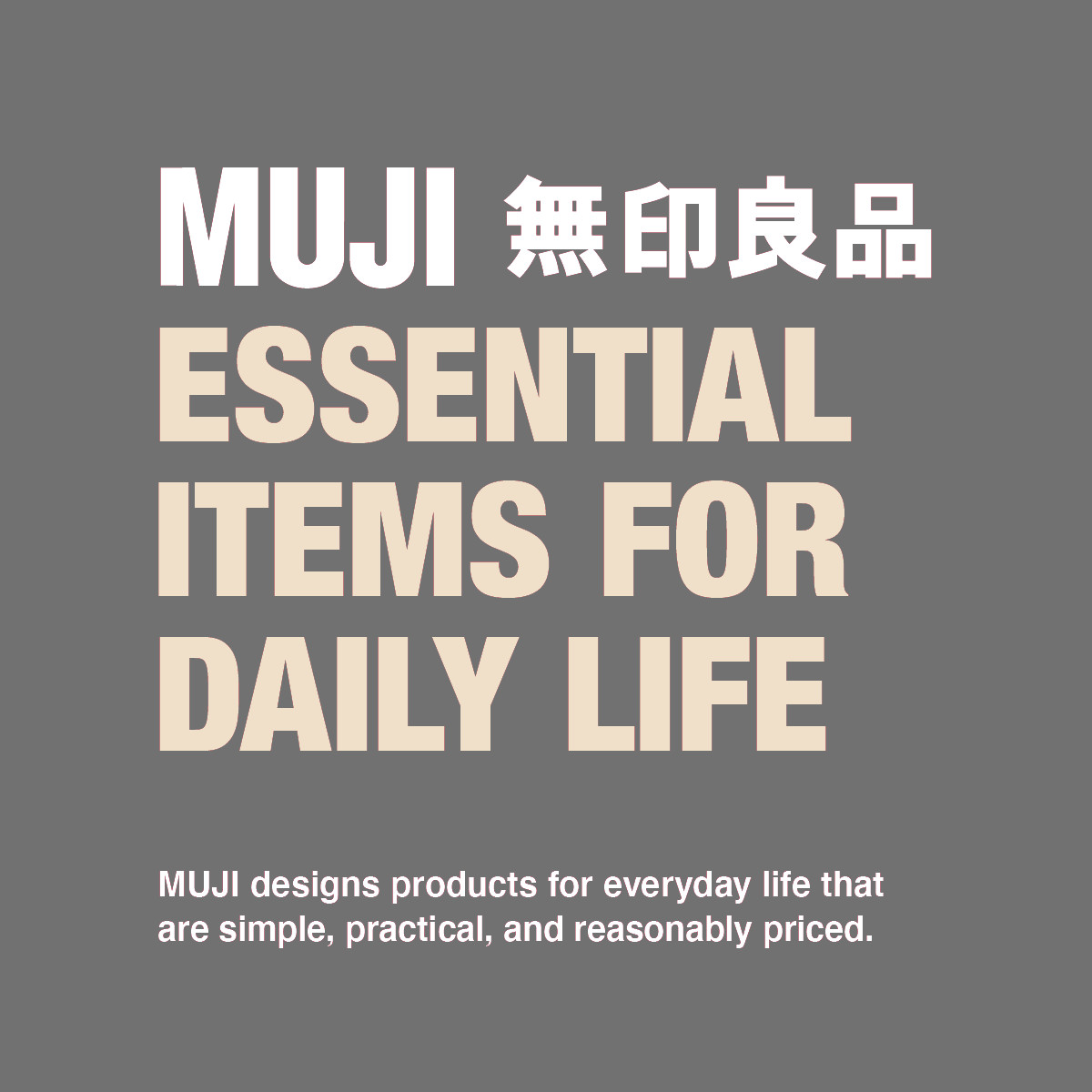 MUJI Compact Stainless Steel Shoehorn with Aluminum Carabiner