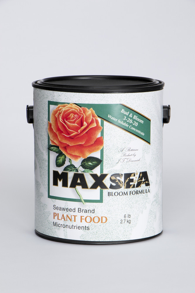Maxsea Bloom 3-20-20 6#