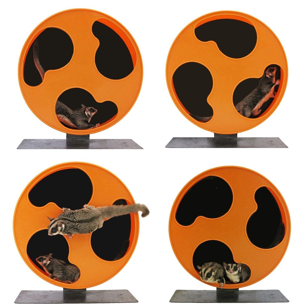 Silent Runner 12" Regular | Wheel + Cage Attachment | Sugar Gliders Hamsters ...