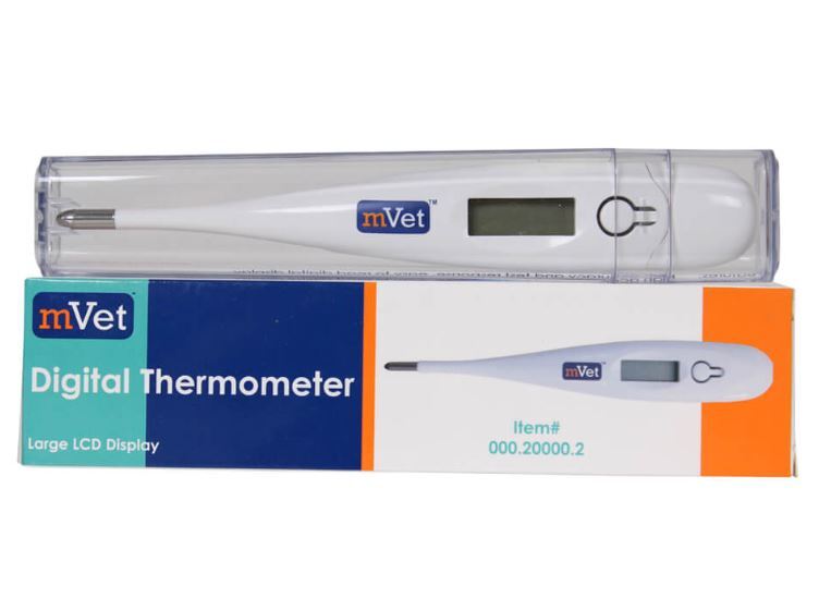 Digital Thermometer,10 Second Read, Rigid Tip