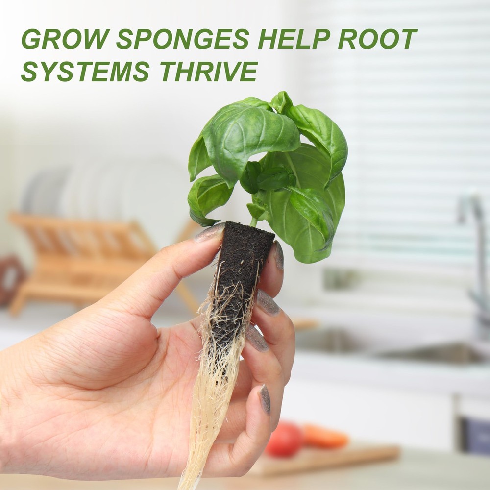 Kratky Method Hydroponic Planter Kit, 8 Hydroponic Planter Plus 24 Growing Sp...