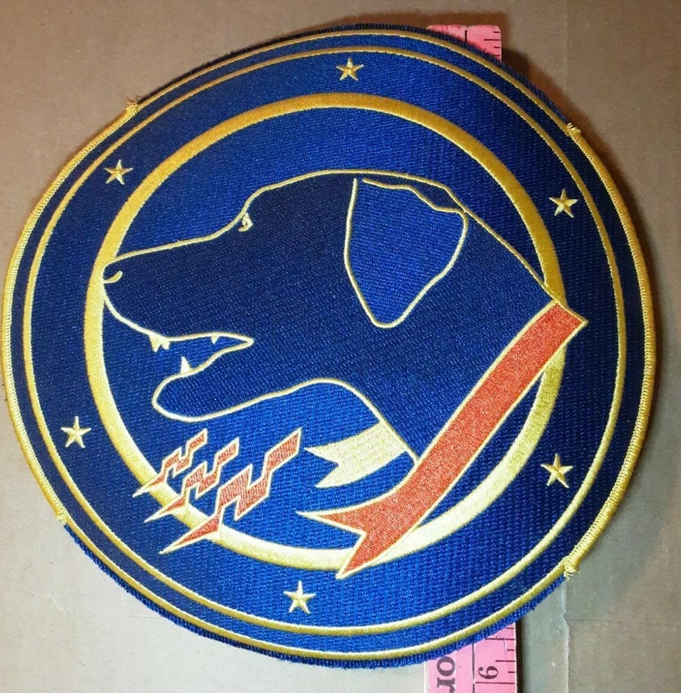 Tactical Fighter Squadron Wardog 9" Patch Without Add Ons READ