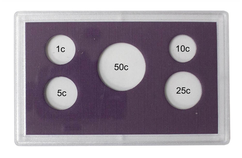 Empty Plastic Lens with Purple Insert B Holds 5 Coins, 5 Pack