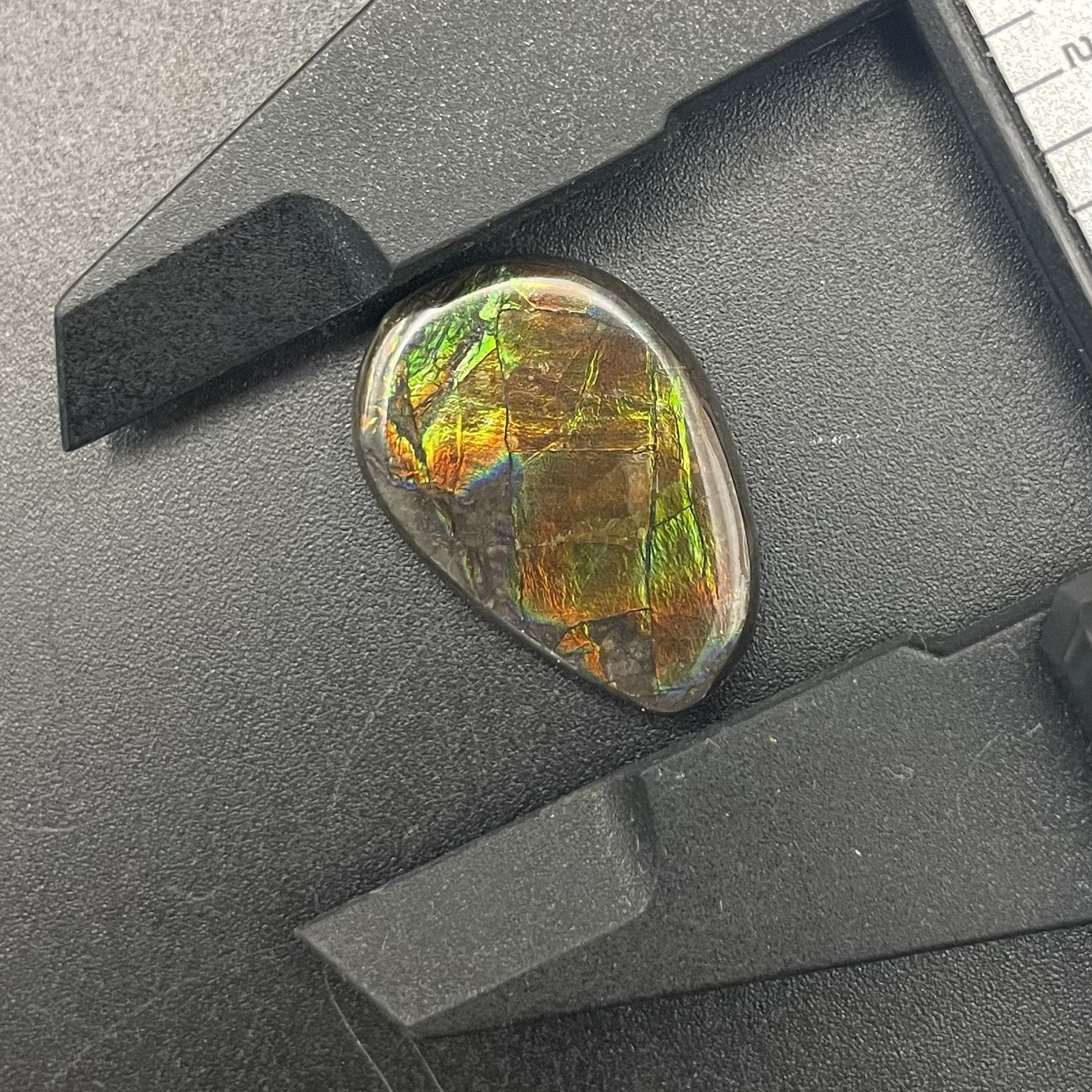 BEAUTIFUL FLASHY CANADIAN AMMOLITE GEMSTONE ALBERTA CANADA GORGEOUS