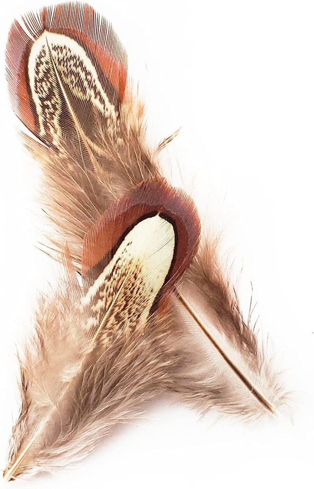 100 pcs Eco-Friendly Pheasant Feathers 2-3 inch for Crafting & Decorating