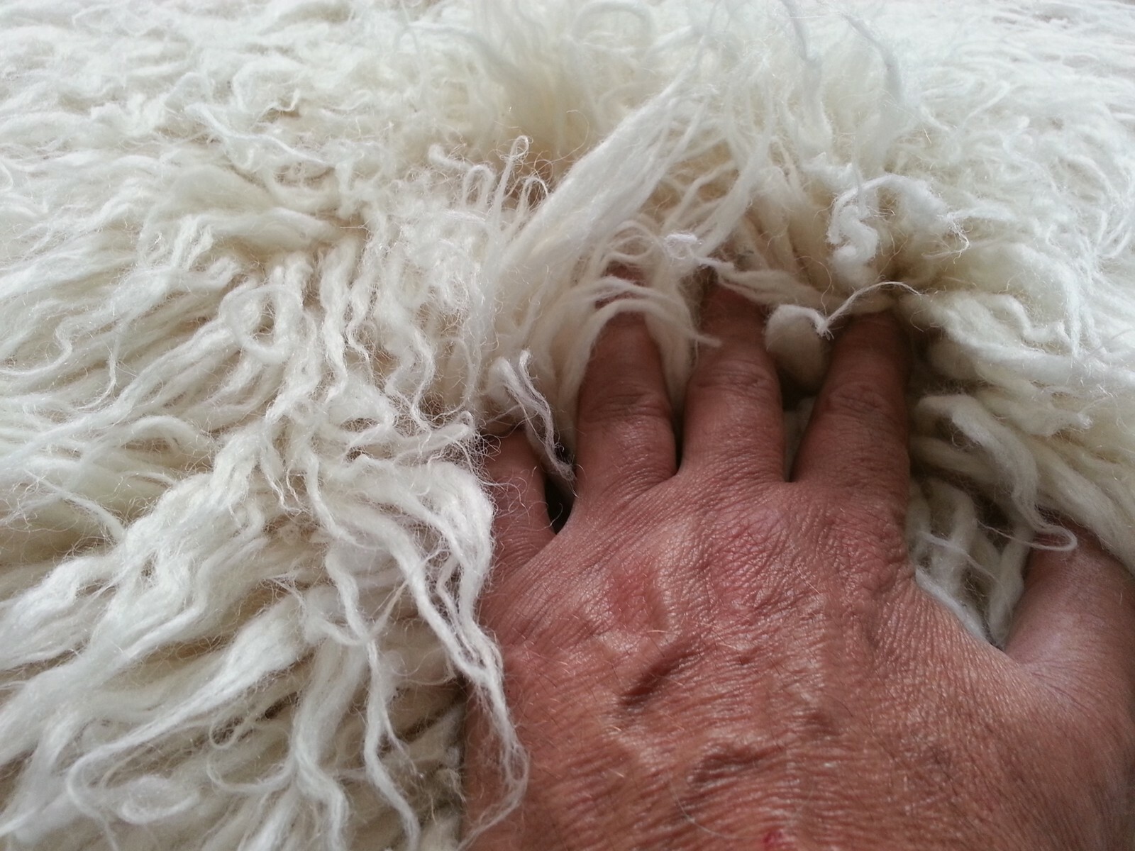 THE THICKEST FLOKATI RUG MADE | ULTRA-PLUSH 4.5" PILE | GREEK FLOKATI | WOOL RUG