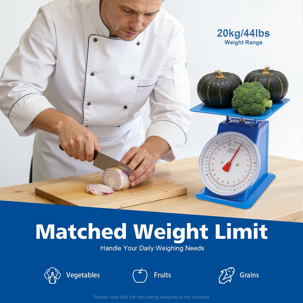 Industrial Dial Scale Heavy Duty Portion-Control Mechanical Scale Dial Scale