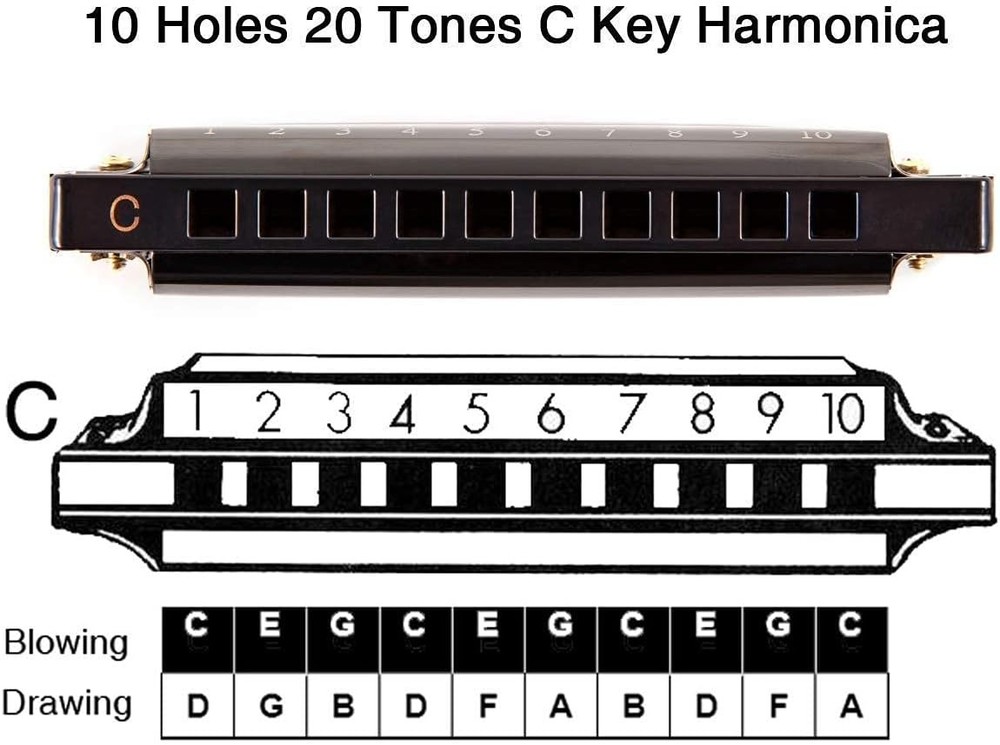 Blues Harmonica Mouth Organ 10 Hole C Key with Case, Diatonic Harmonica for Anyo