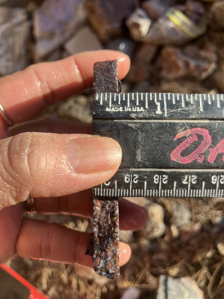 Dinosaur Bone