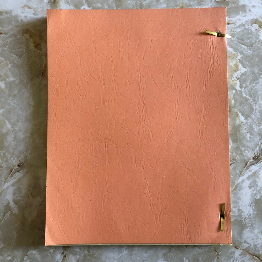 Lost in Space TV Show Original Screenplay Script 1966 "The Questing Beast"