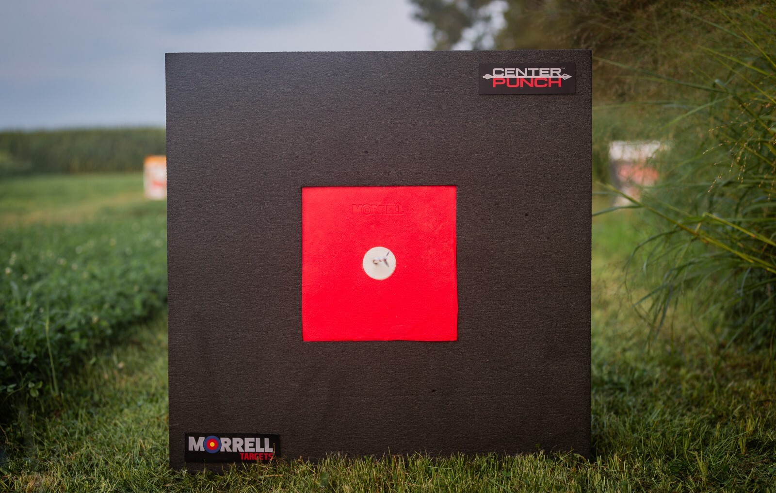 Morrell High Roller Squared Archery Target