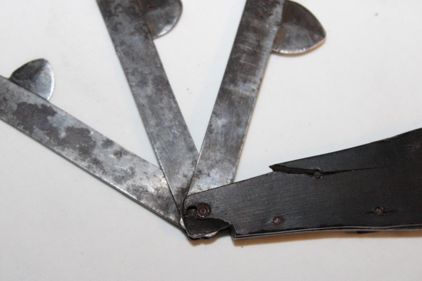 Antique 3 Blade Blood Letting Fleam Tool Marked G. Gregory