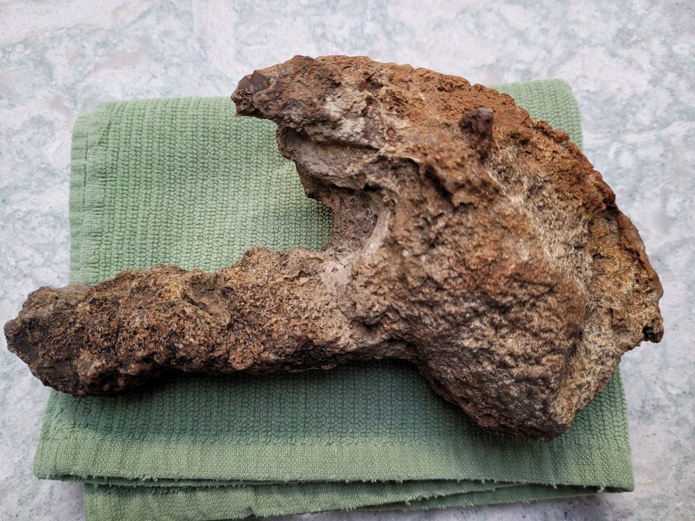 Unique Unknown rock formation (Alien Head Shape) 3lbs