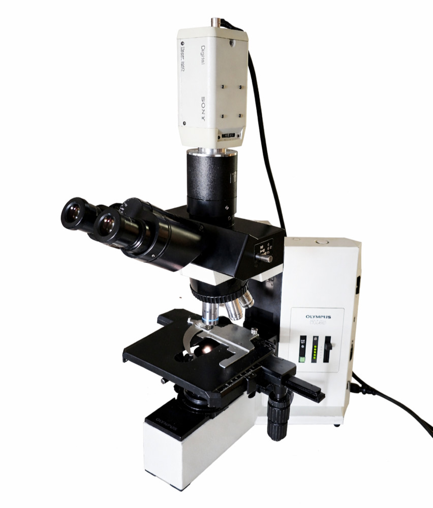 Olympus BX40 Upright Laboratory Microscope with Digital Camera