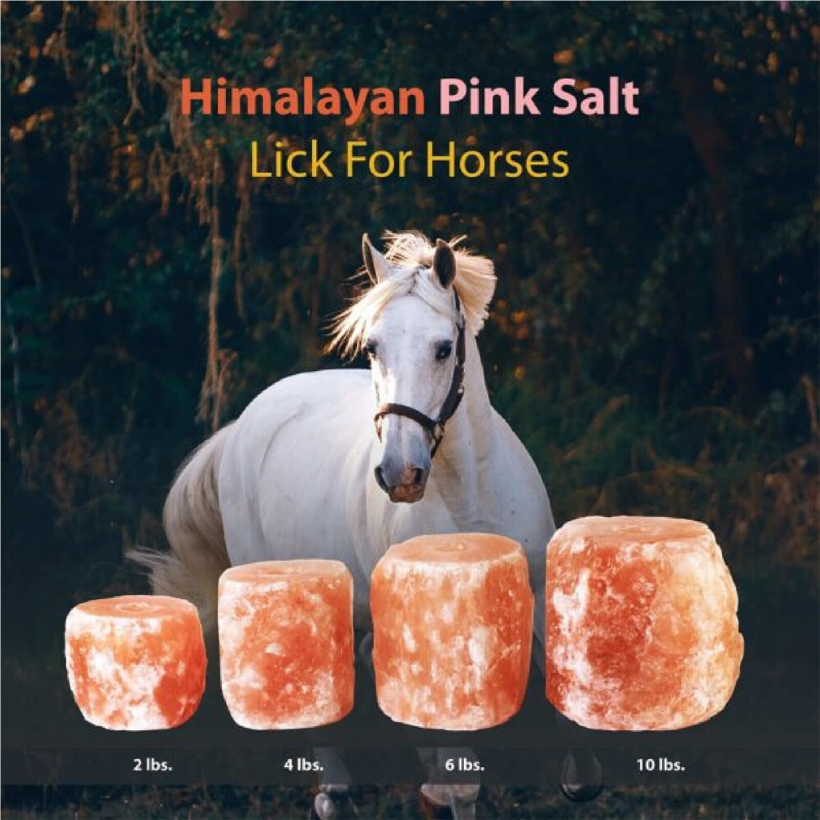 Pack of 2 Himalayan Rock Salt Licks 2 LB Each for Horses - Natural Mineral Block